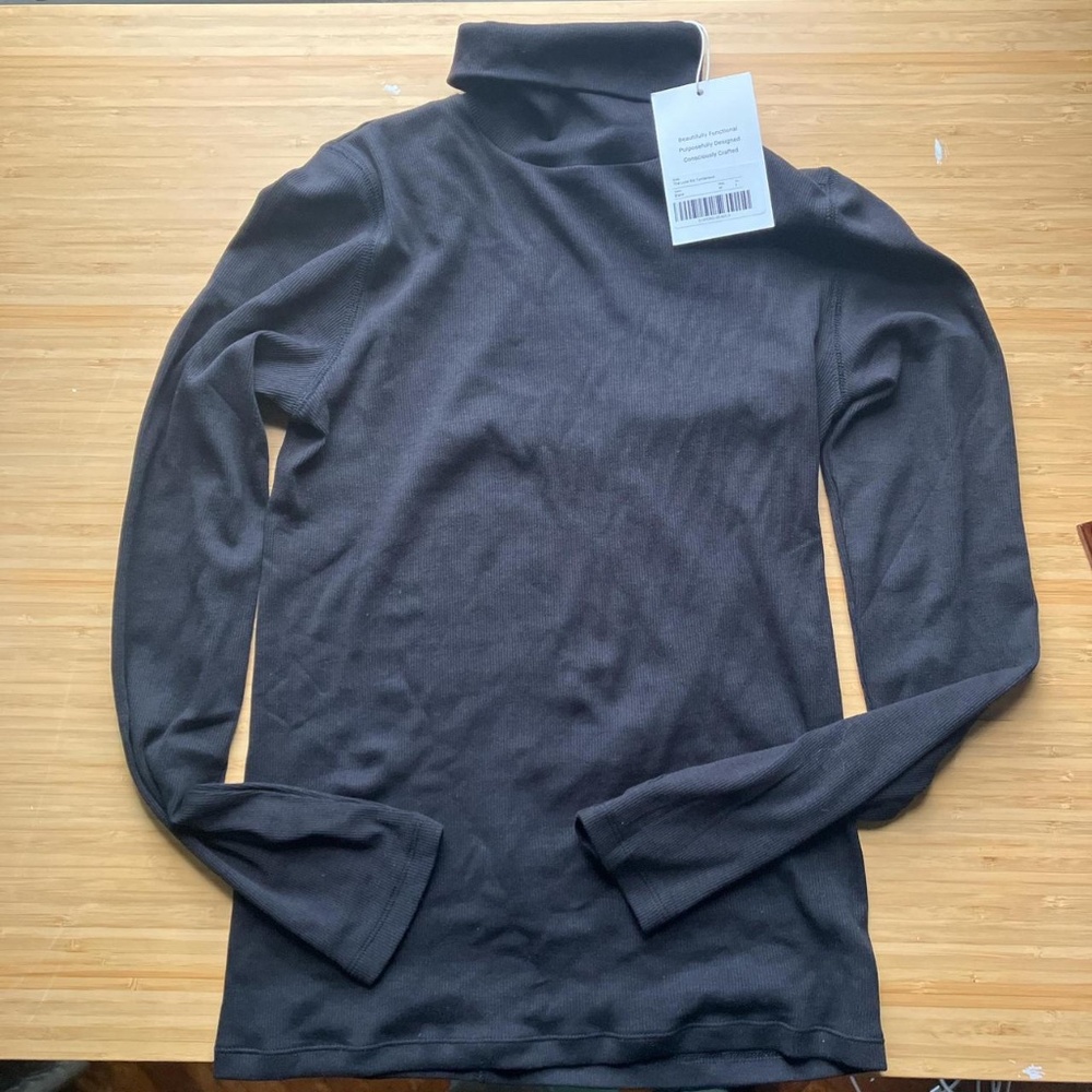 Everlane the Luxe Rib Turtleneck